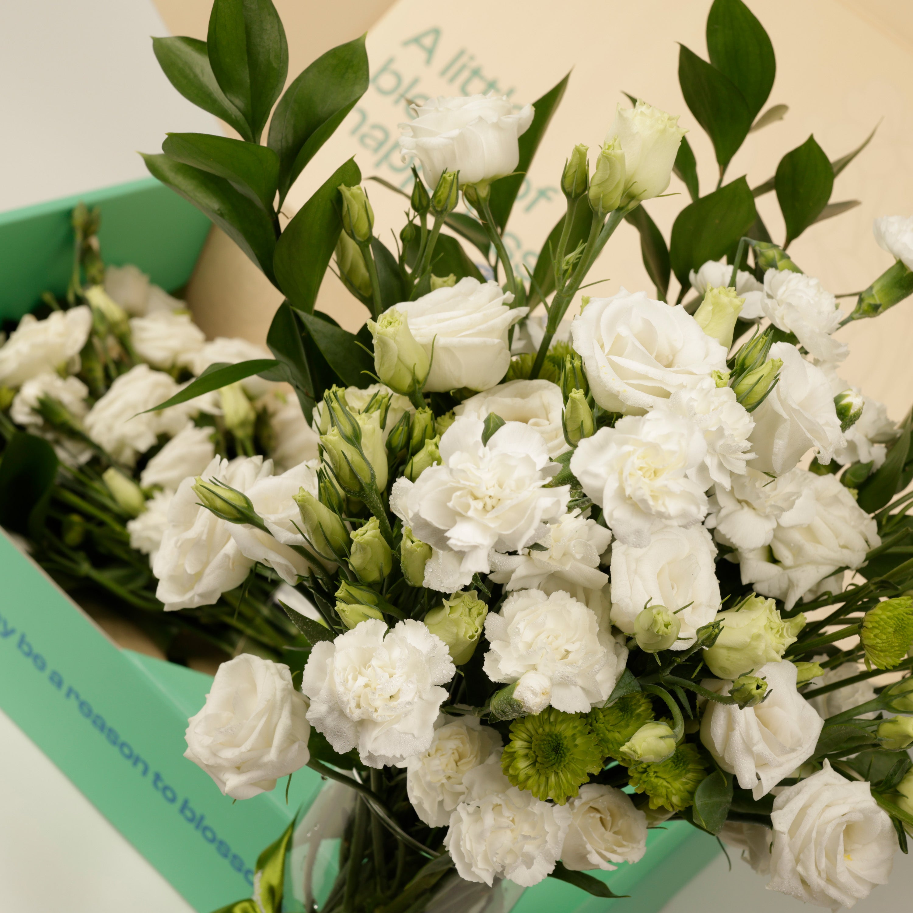 Essential White Lisianthus Flower Box
