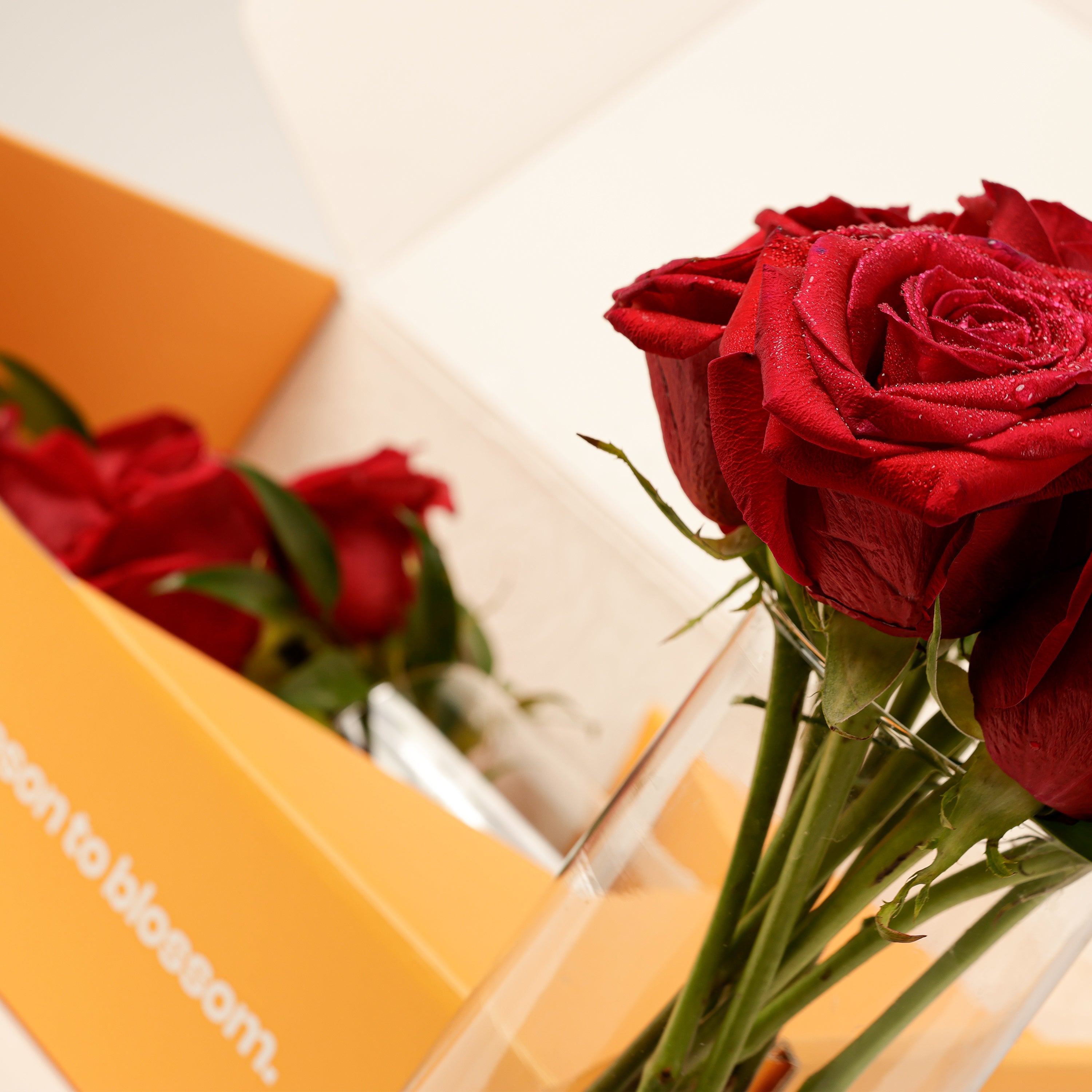 Classic Red Roses Flower Box