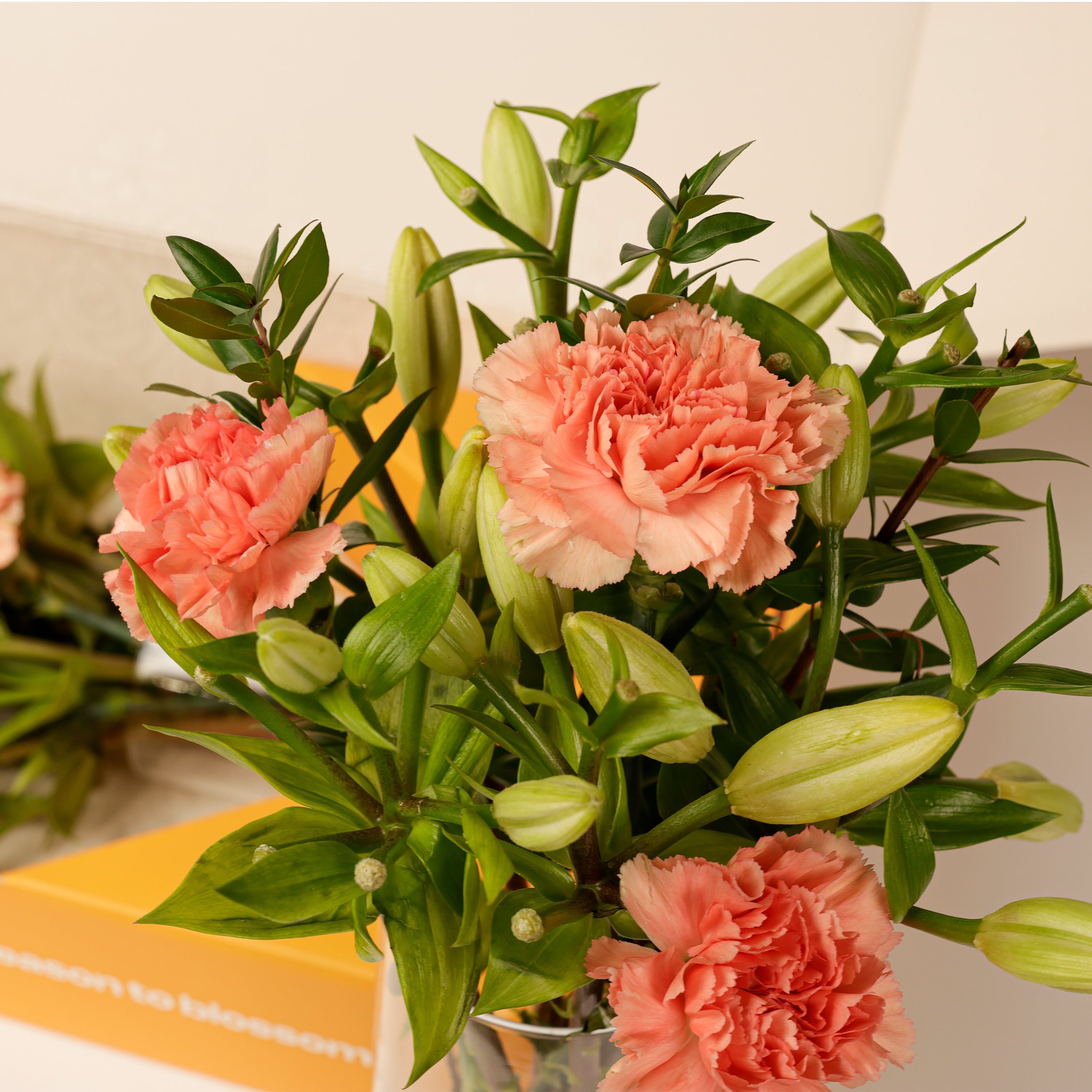 Carnation & Lily Soft Bloom Box