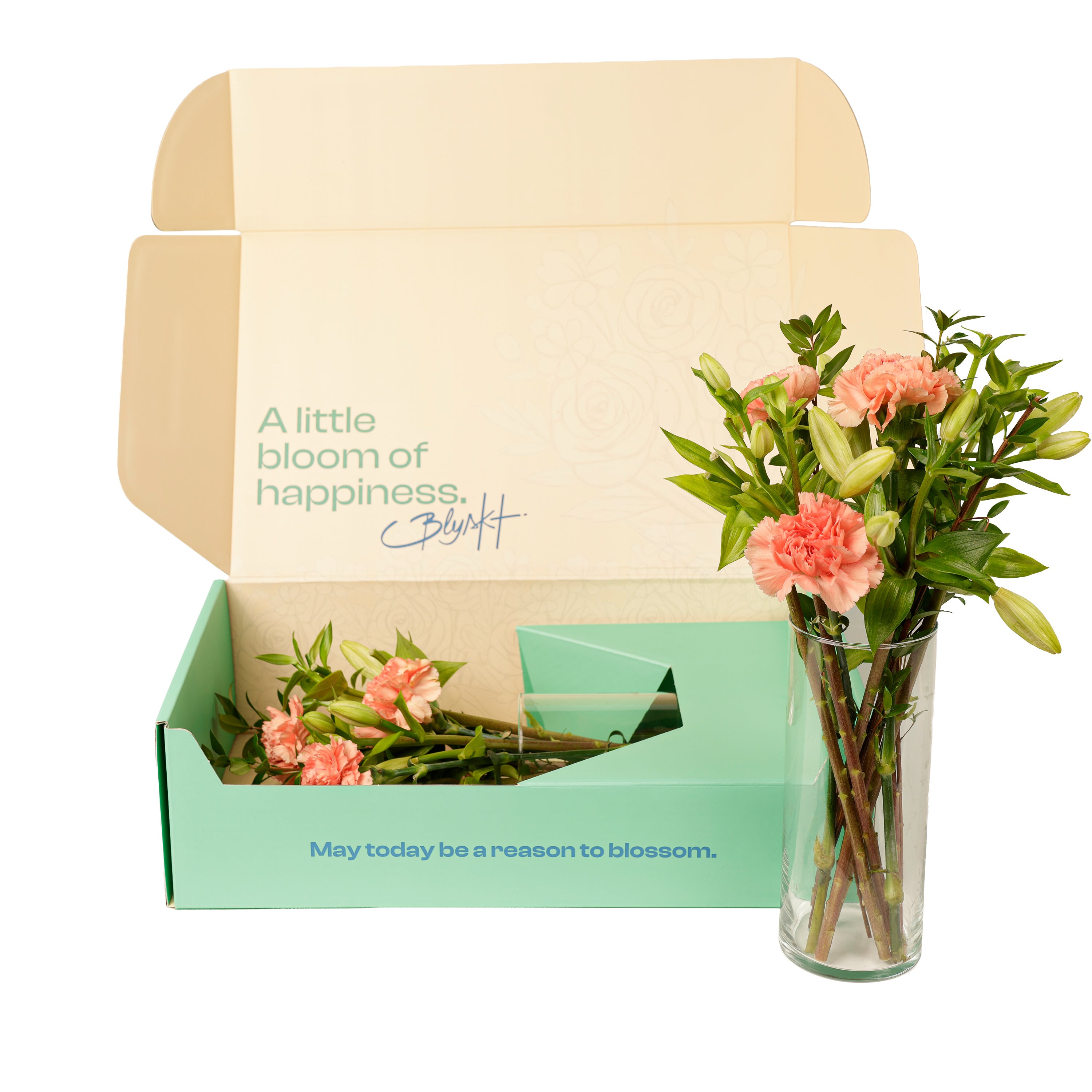 Carnation & Lily Soft Bloom Box