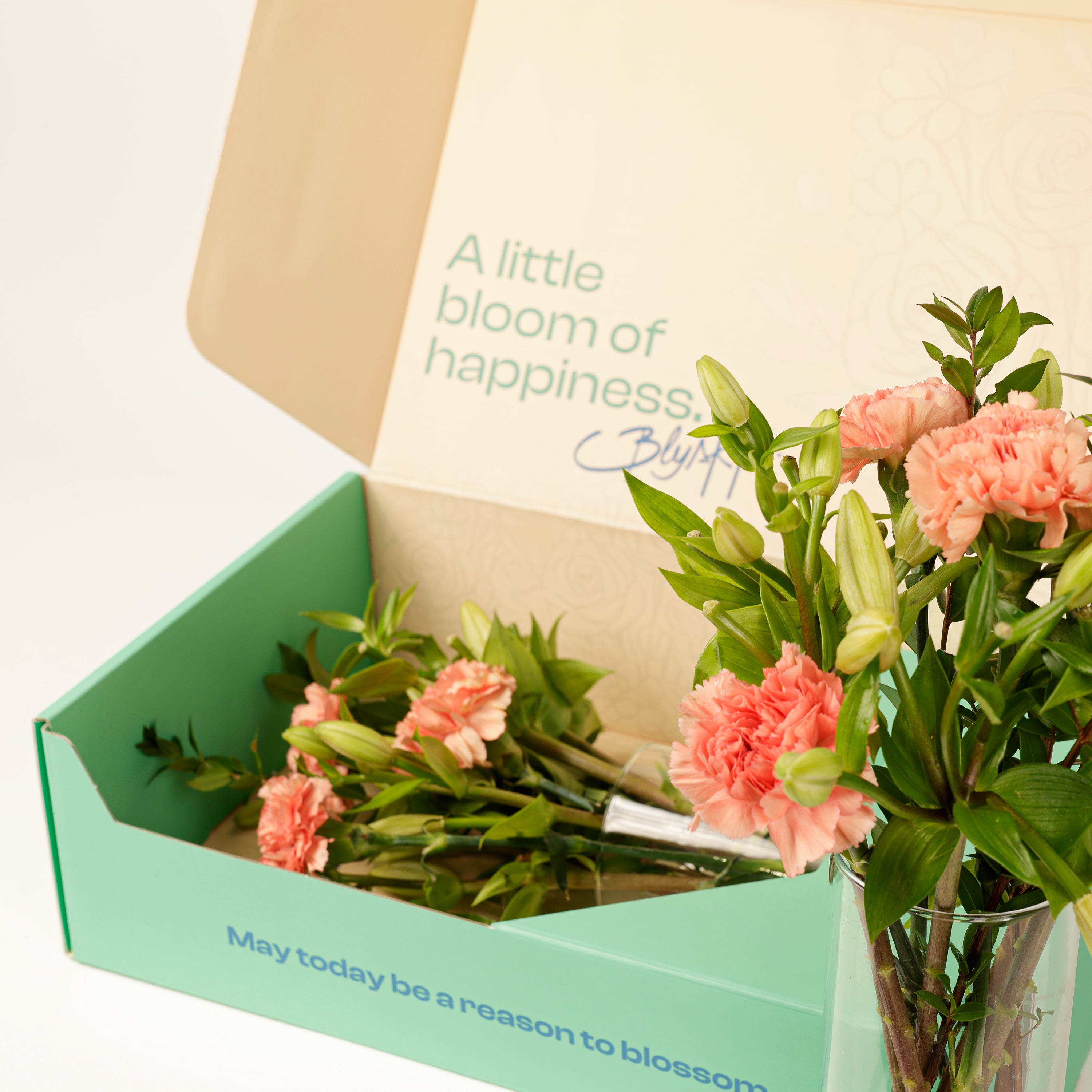 Carnation & Lily Soft Bloom Box