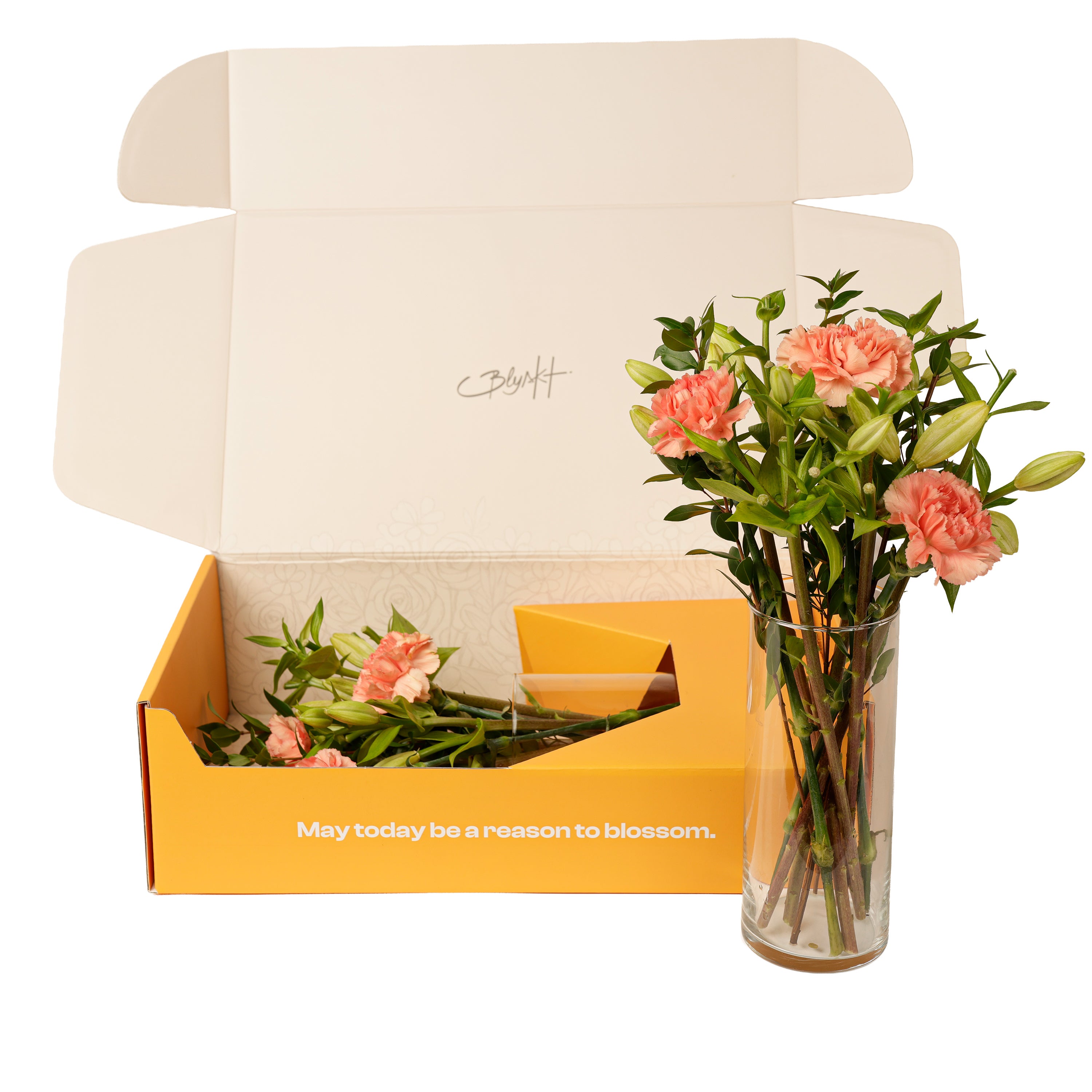 Carnation & Lily Soft Bloom Box