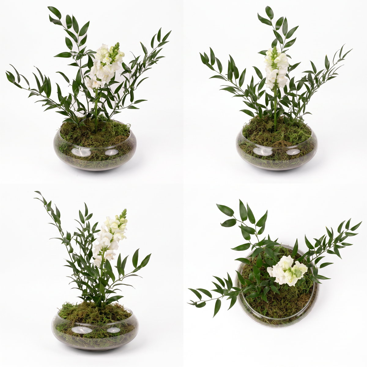 Pure Balance Botanical Arrangement