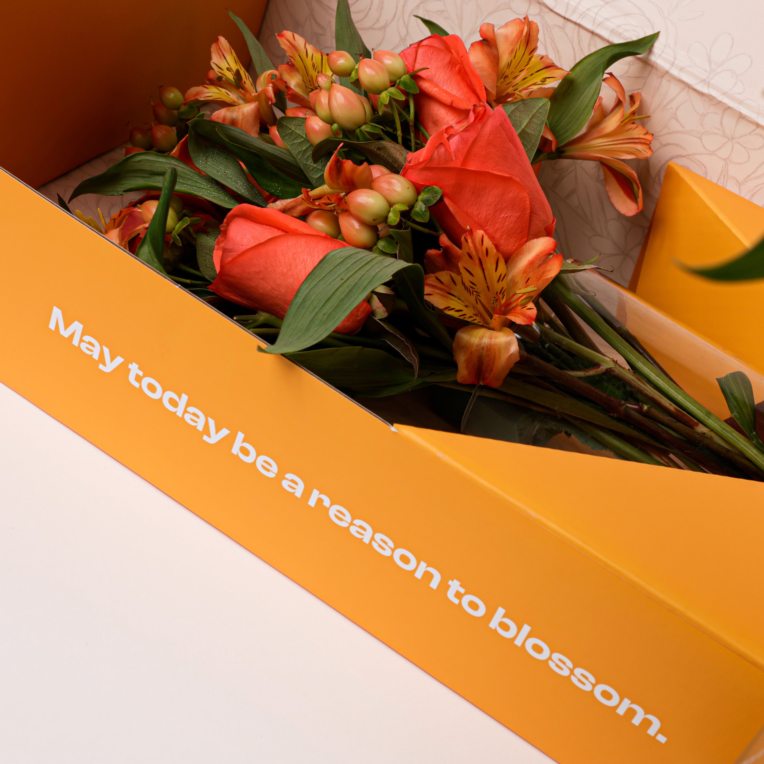 Coral Roses Flower Box