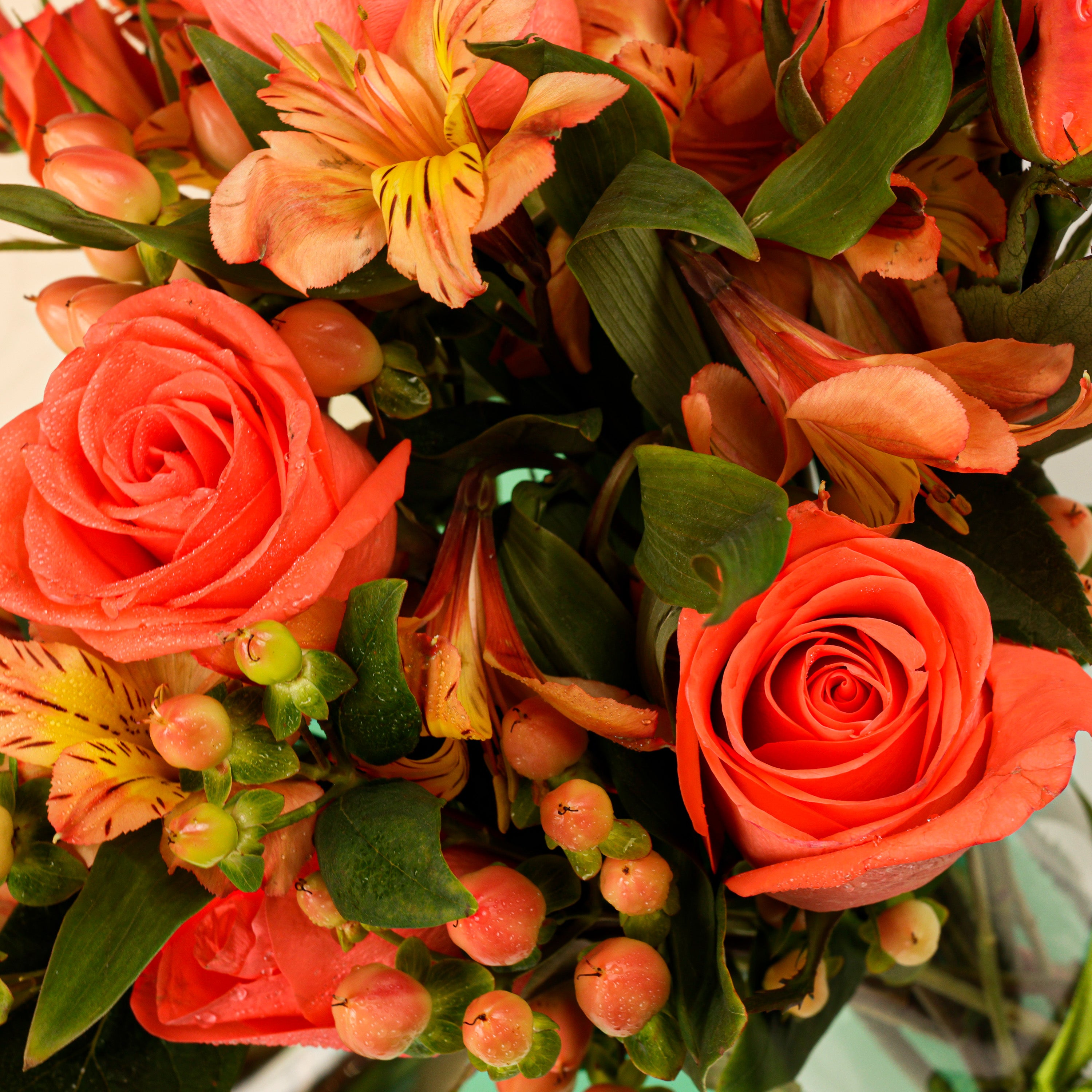 Coral Roses Flower Box