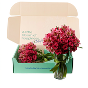 The Pink Rose Story Flower Box