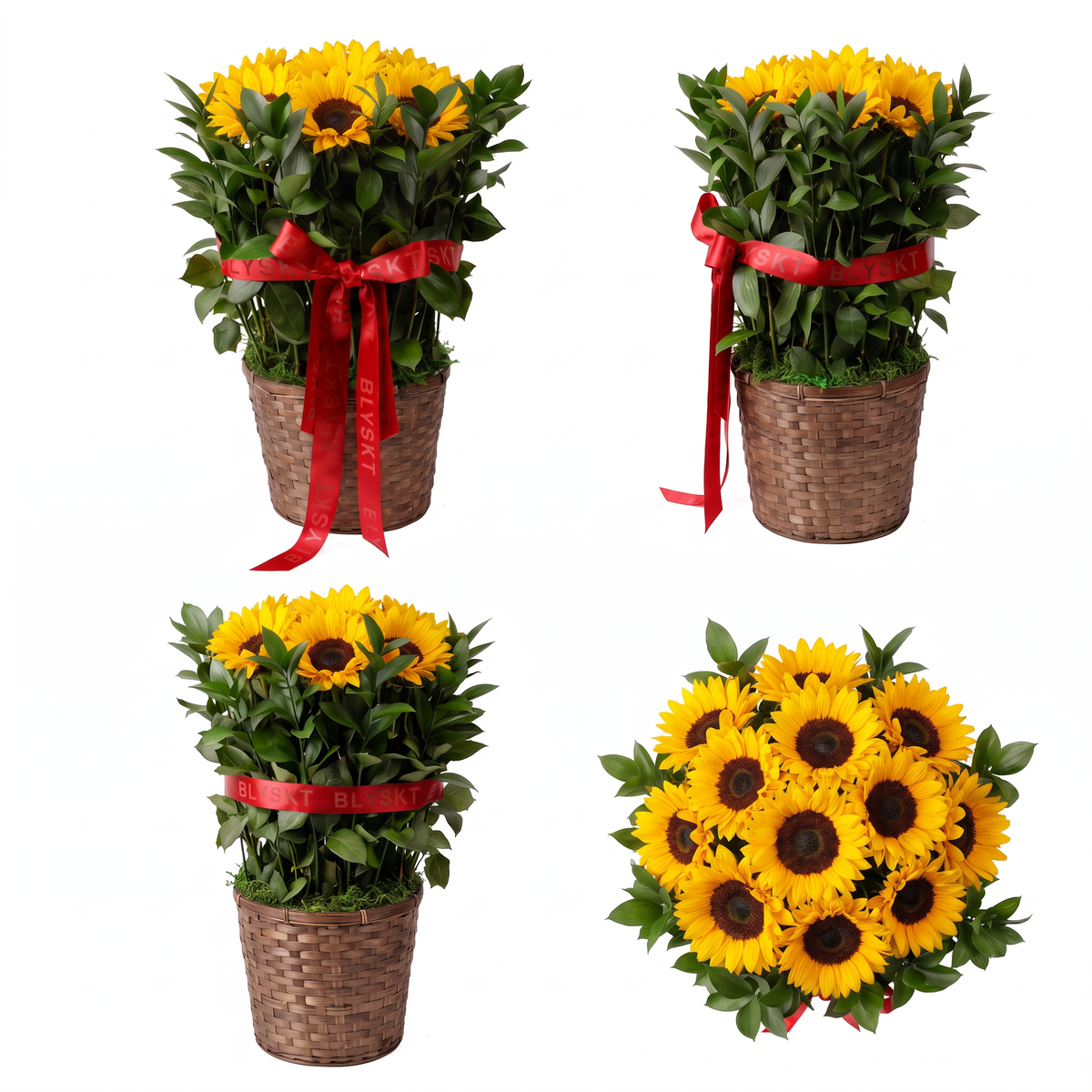 The Sunflower Garden