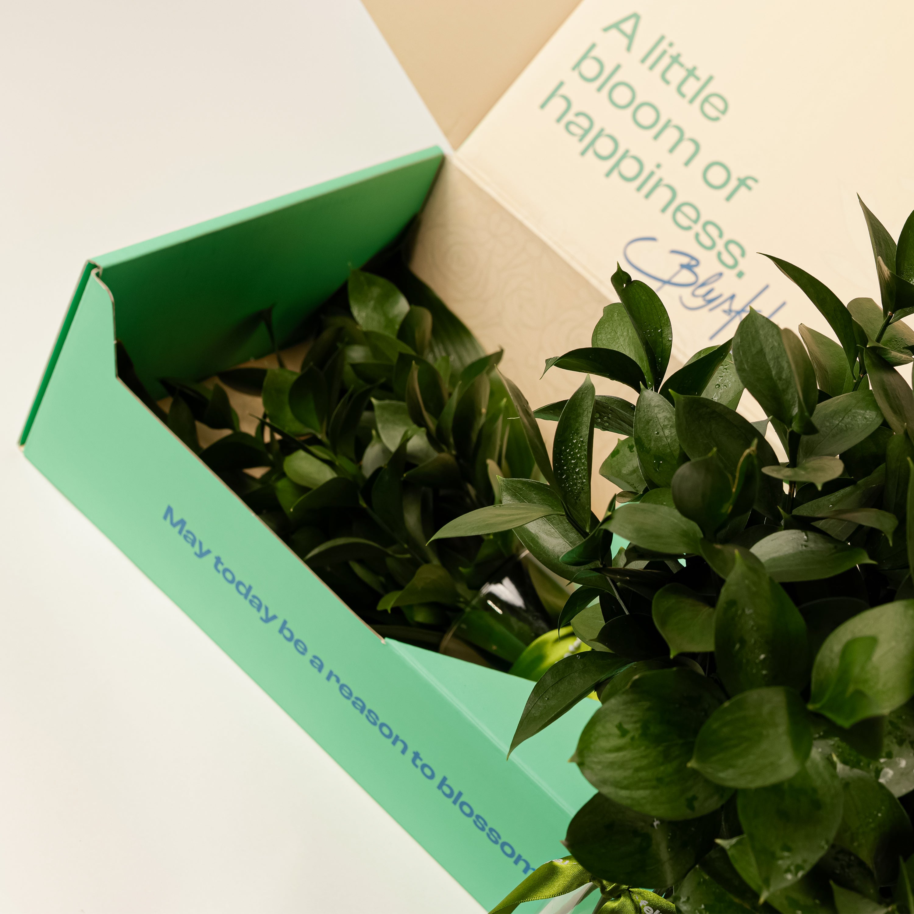 Fresh Ruscus Flower Box
