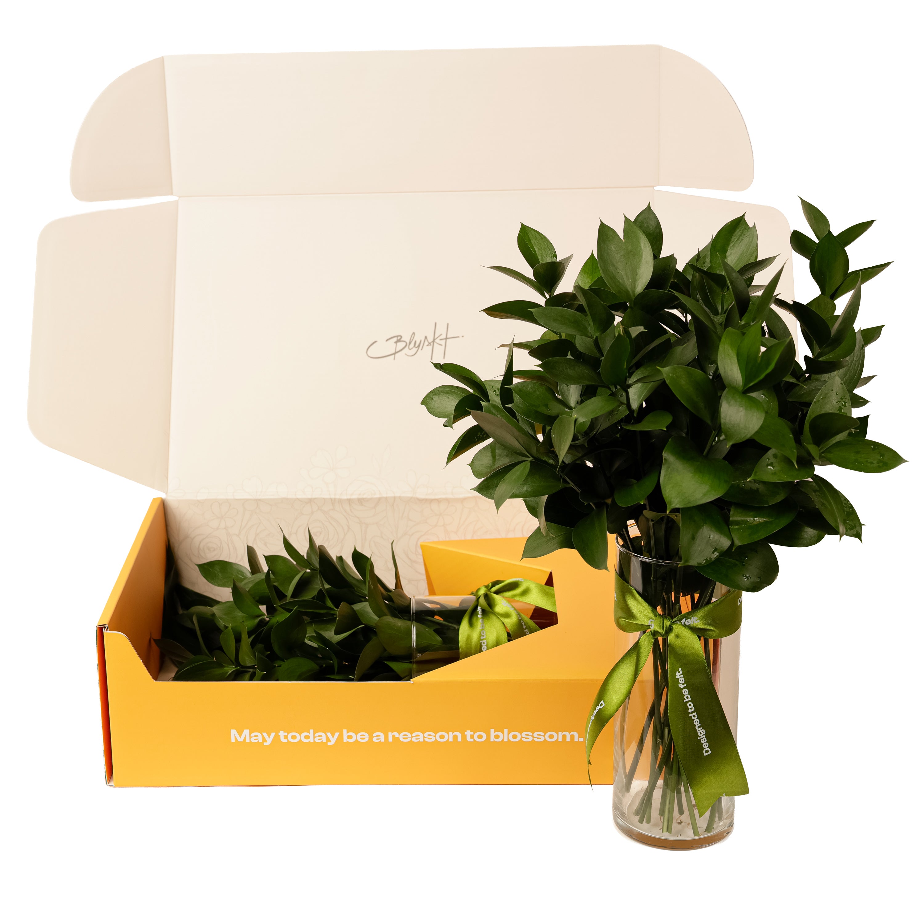 Fresh Ruscus Flower Box