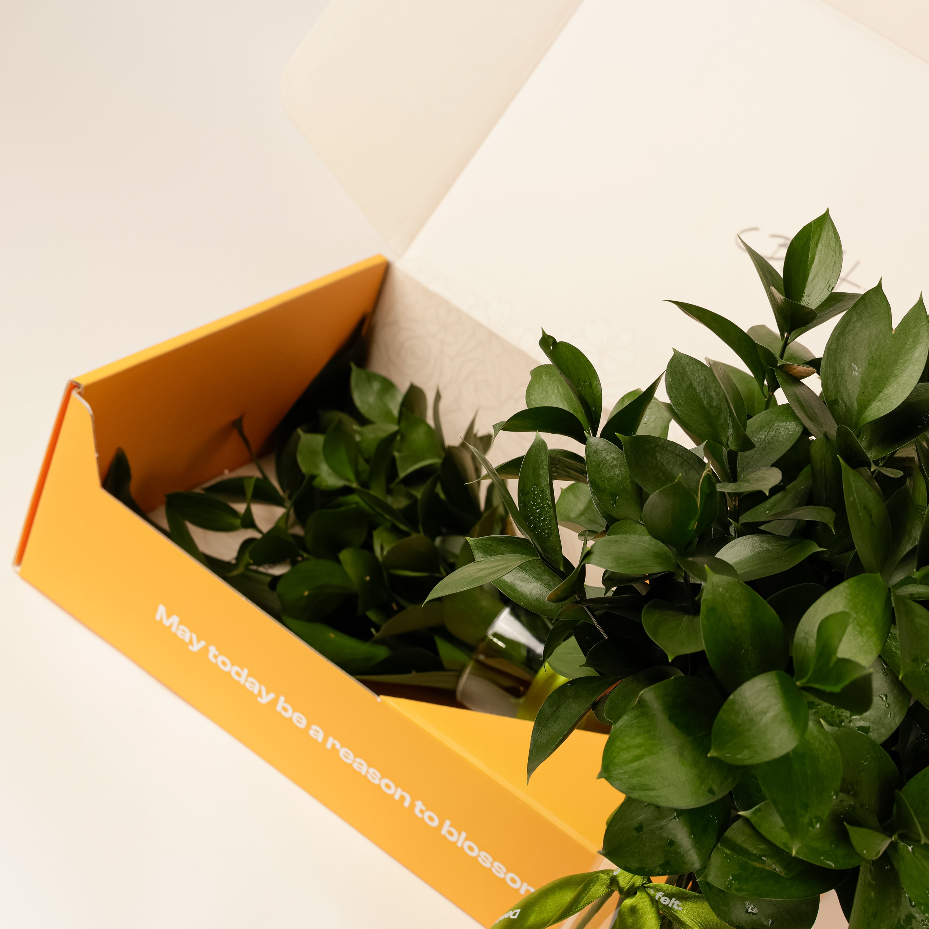 Fresh Ruscus Flower Box