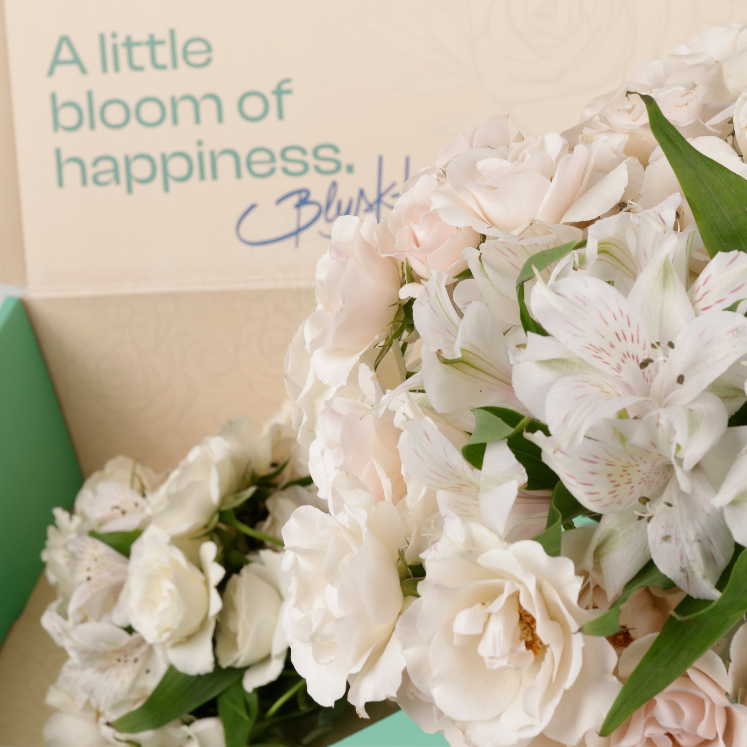 Quiet White Flower Box