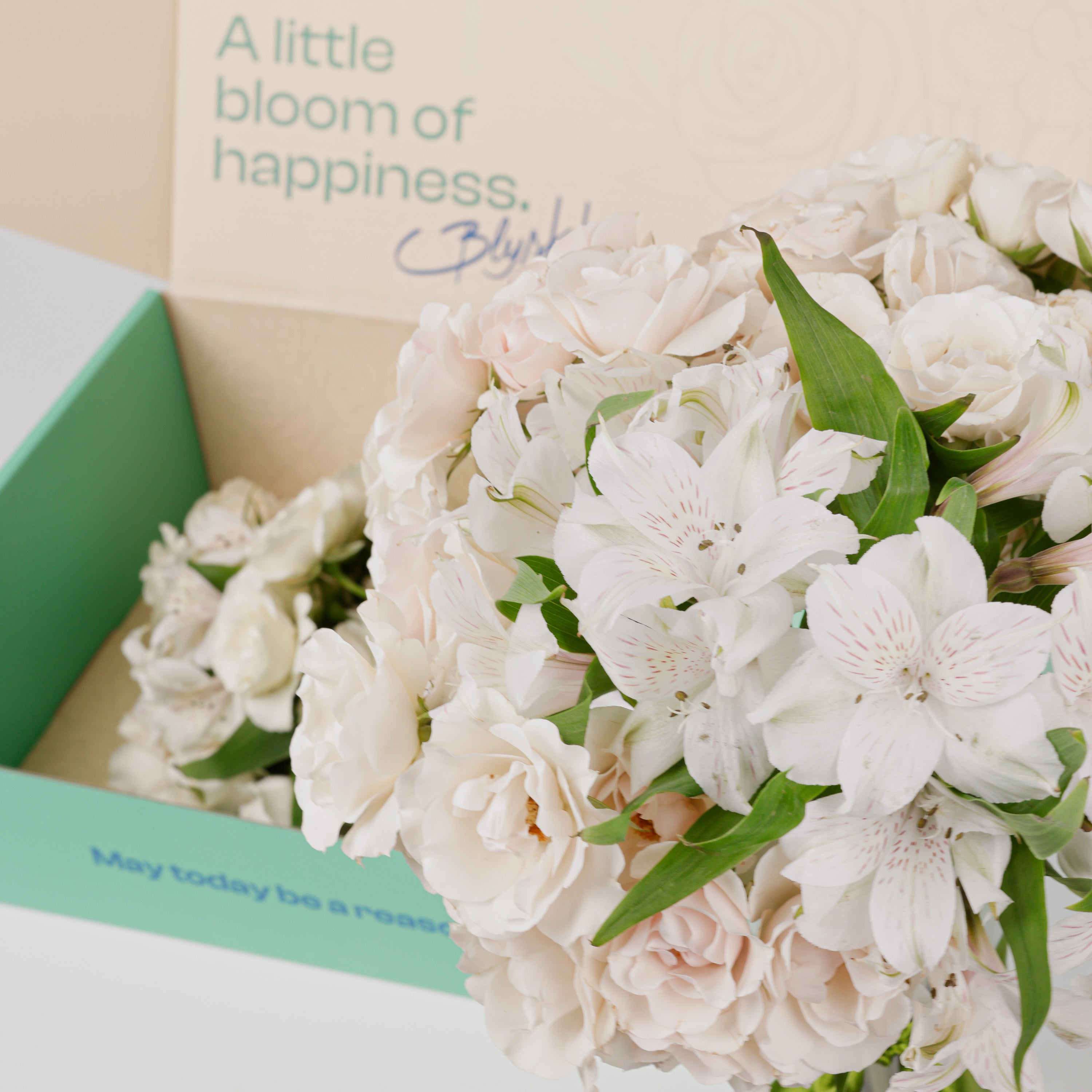 Quiet White Flower Box