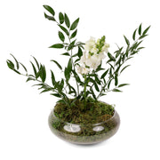 Pure Balance Botanical Arrangement