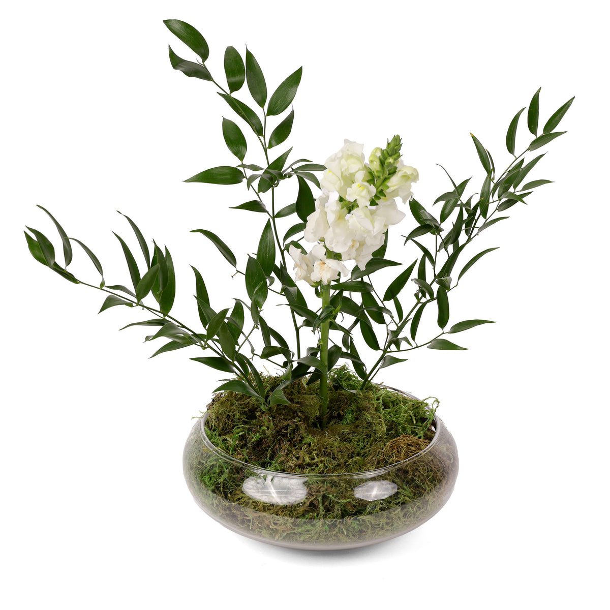 Pure Balance Botanical Arrangement