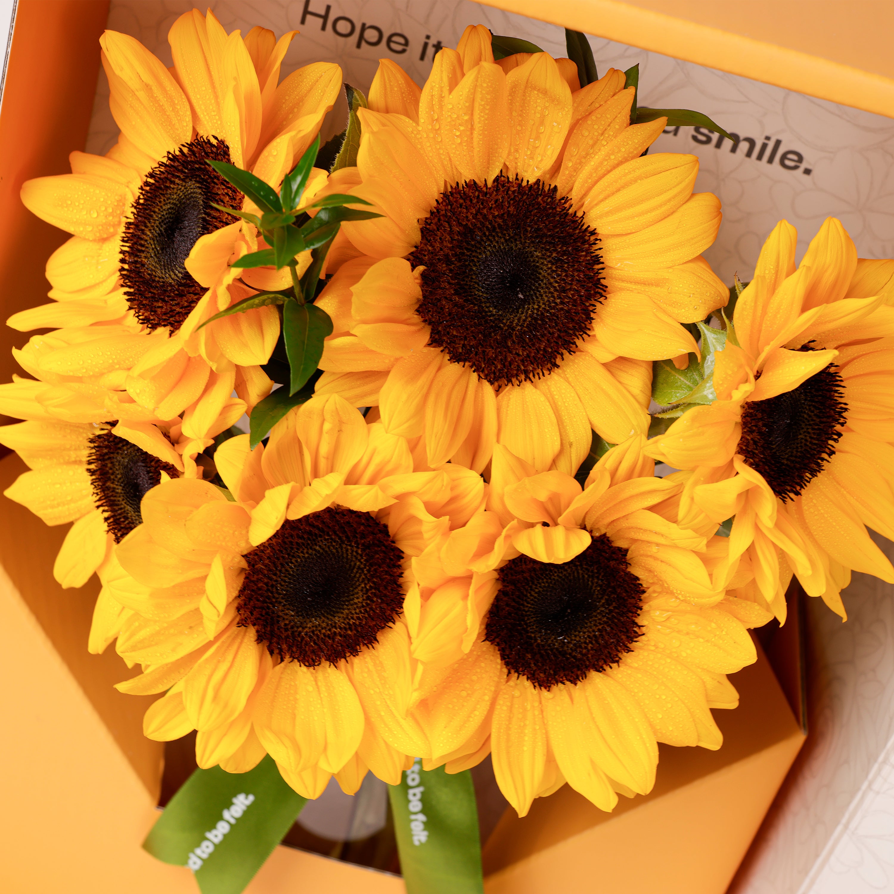 Sunflower Joy Flower Box