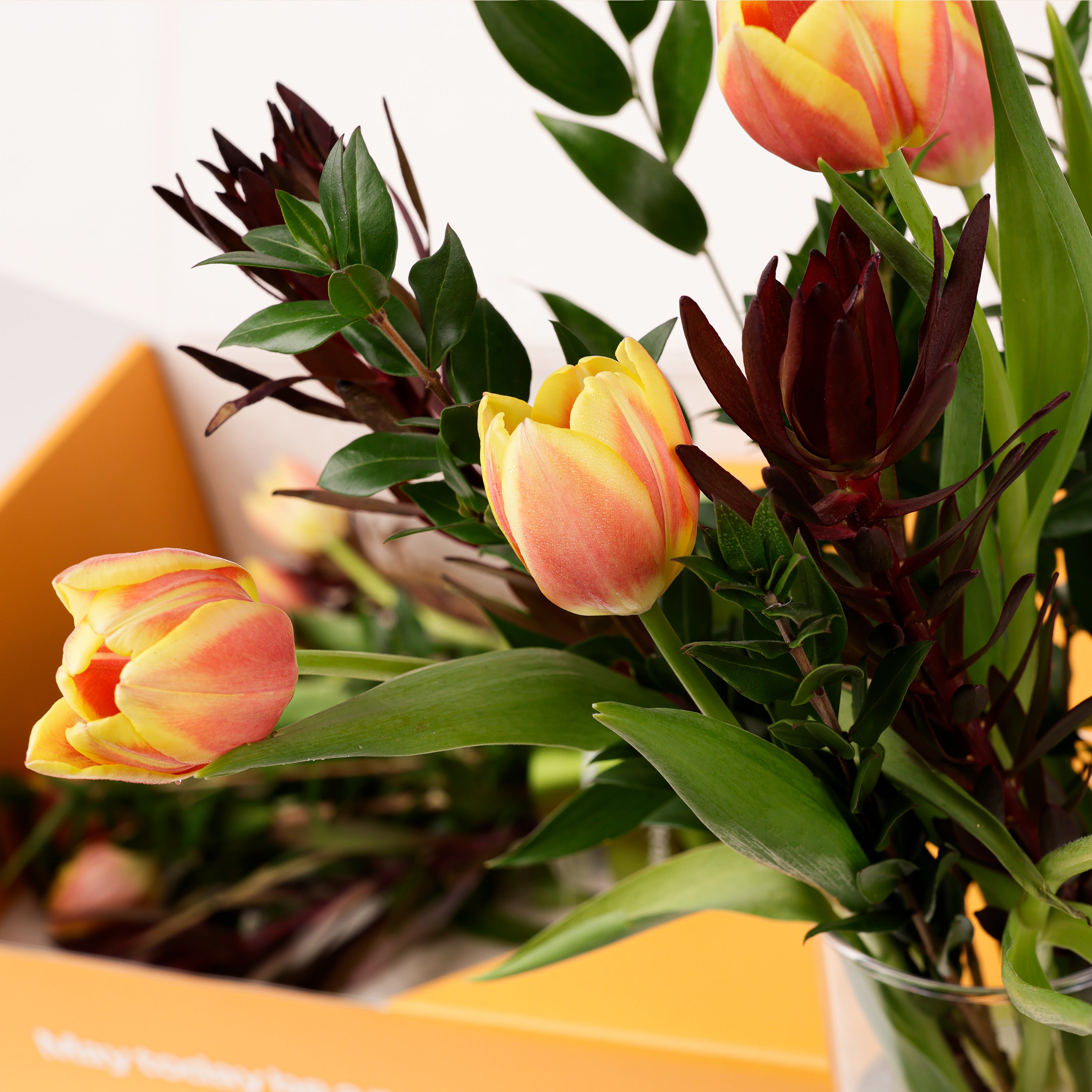 Golden Tulip Bloom Flower Box